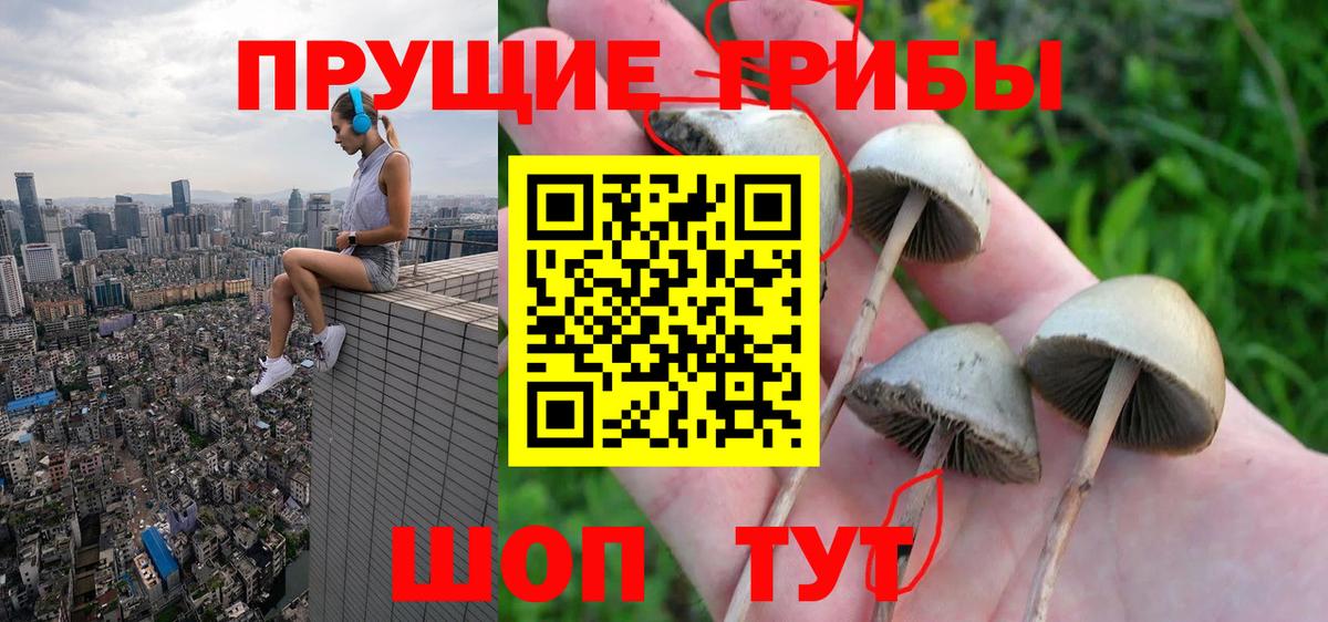 Псилоцибиновые грибы Magic Shrooms  Галлюциногенные грибы GOLDEN TEACHER  Архангельск  Вход с VPN 